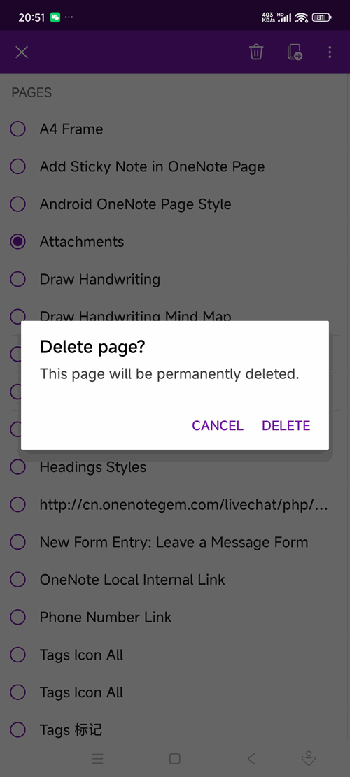 This page will be permanently deleted.